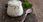 Yogurt y semillas