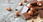 Chocolate y nueces