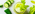 Batido refrescante de proteína SR con apio y pepino