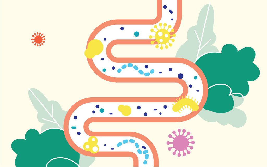 How to improve digestion in just 3 steps – Santo Remedio