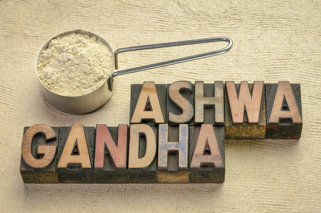 Cuando La Ciencia Aprueba El Remedio Casero: Ashwagandha