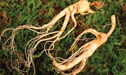 El Revitalizador Ginseng