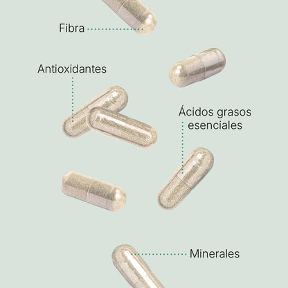 Nopal Chía (3 botellas)