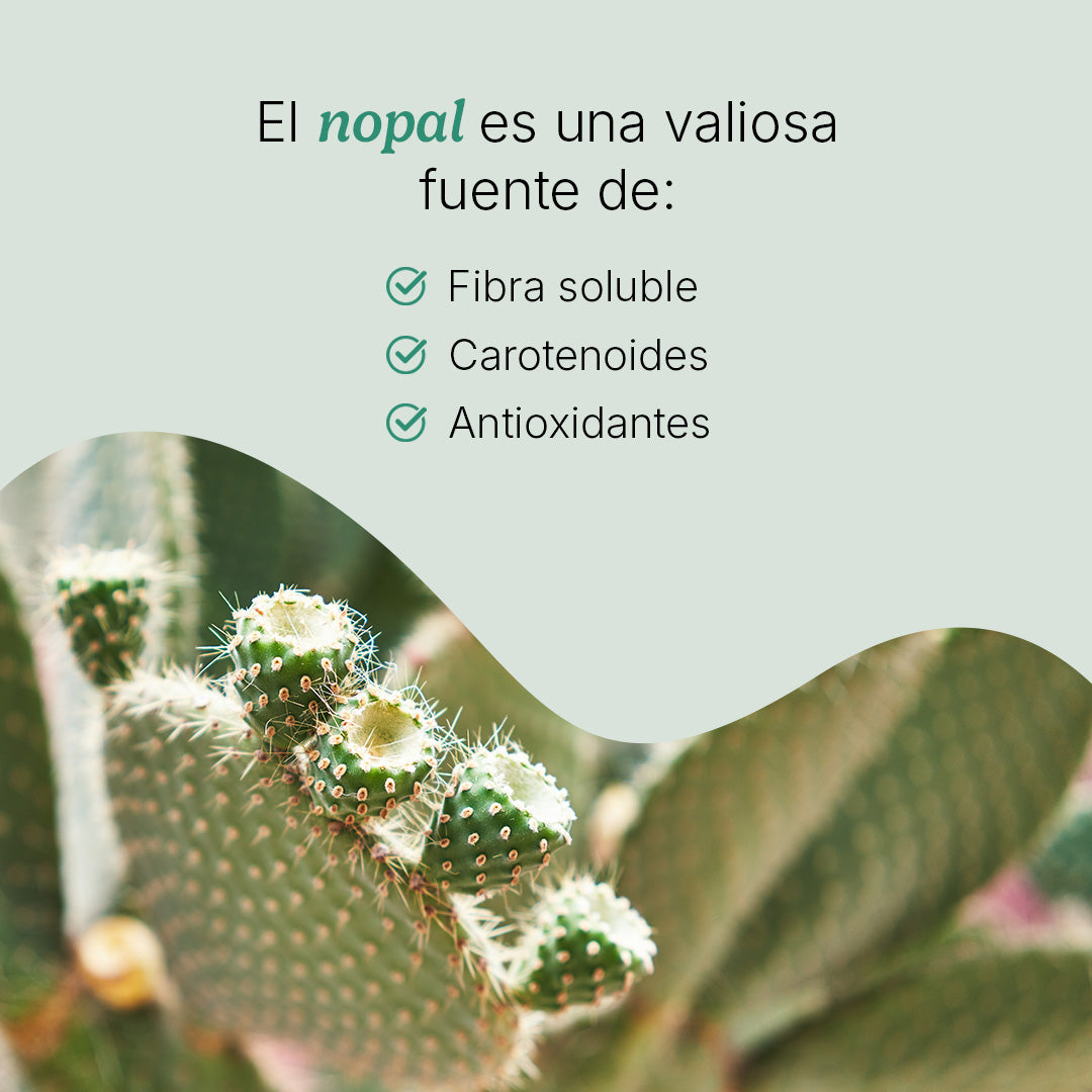 Nopal Chía