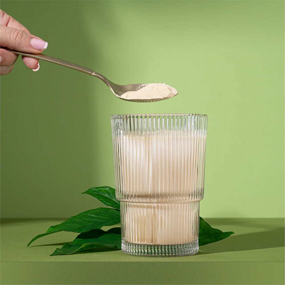 Plant-Based Vanilla Protein